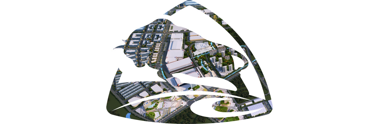 1557801196917545.jpg 1.jpg